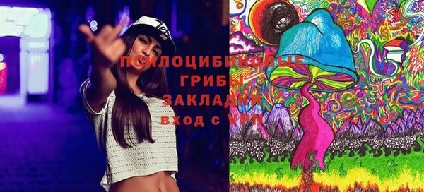 кристаллы Белокуриха