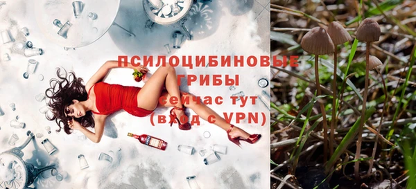 кристаллы Белокуриха