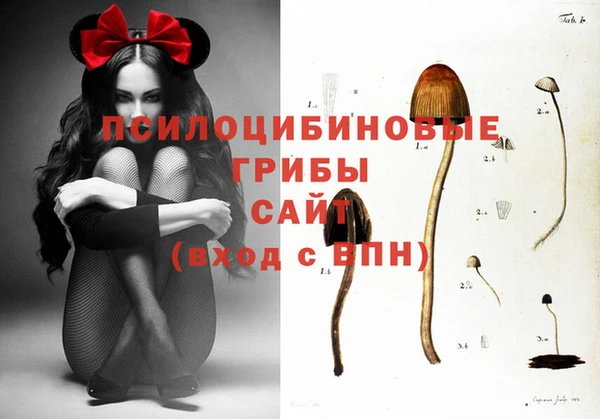 СК Белоозёрский