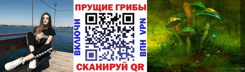 блэк спрут ТОР Болотное Псилоцибиновые грибы Magic Shrooms где можно купить наркотик